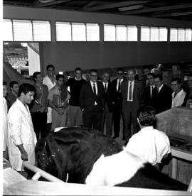 Visita do Reitor José Mariano da Rocha Filho e visitantes ao Hospital Veterinário e Instituto de Zootecnia