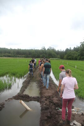 Atividade Agrícola a Campo