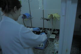 Núcleo de Química de Heterociclos (Nuquimhe)