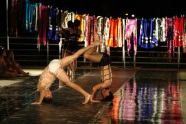 Grupo de Dança da UFSM apresenta Espetáculo FeridaCalo