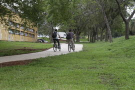 Pista Multiuso