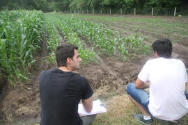 Atividade Agrícola a Campo