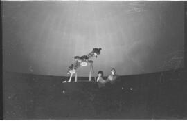 Planetário – Levantamento fotográfico dos aparelhos