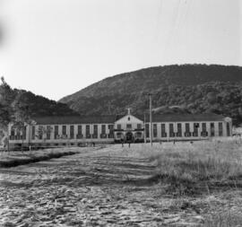 Atividades do Instituto de Higiene na Cidade dos Meninos