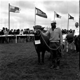 Exposição Feira Agropecuária