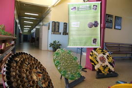 Exposição Mandalas Ambientais