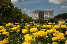 Campus Universidade Federal de Santa Maria