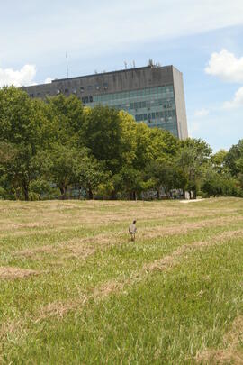 Campus Universidade Federal de Santa Maria
