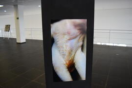 Exposição “Artes Visuais, Pesquisas e Sensibilidades”