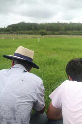Atividade Agrícola a Campo