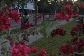 Pessoas, lugares e caminhos da Universidade Federal de Santa Maria