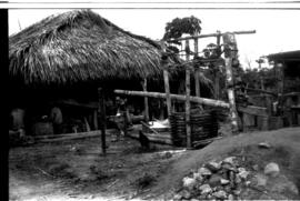 Projeto Rondon – atividades em Boa Vista, Roraima