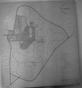 Ante-projeto de arborização da USM