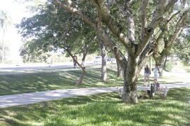 Pista Multiuso