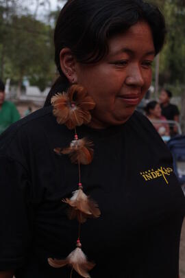 Aldeia Kaigang - Patrimônio cultural, material, imaterial, saberes Indígenas