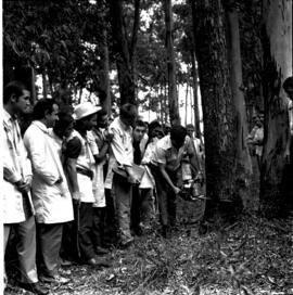 Curso de Engenharia Florestal – aulas práticas dos calouros