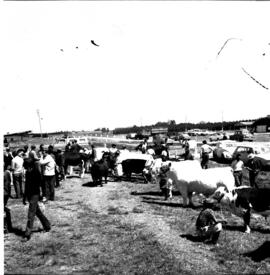 5ª Exposição Feira Agropecuária de Santa Maria