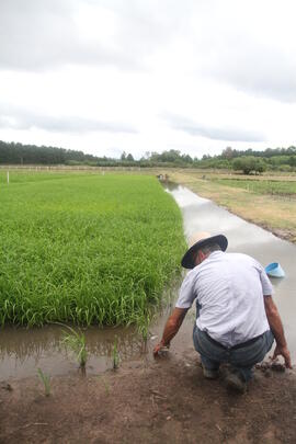 Atividade Agrícola a Campo