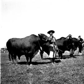 5ª Exposição Feira Agropecuária de Santa Maria