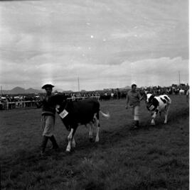 Exposição Feira Agropecuária