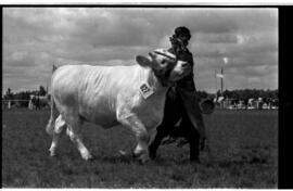 Exposição Feira Agropecuária, X - na UFSM