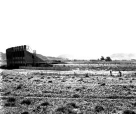 Estádio Tarso Dutra do CEFD