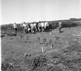 Aulas práticas e teóricas do Colégio Agrícola