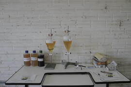 Projeto de produção de Biodiesel