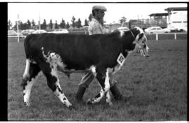 10ª Exposição Feira Agropecuária de Santa Maria
